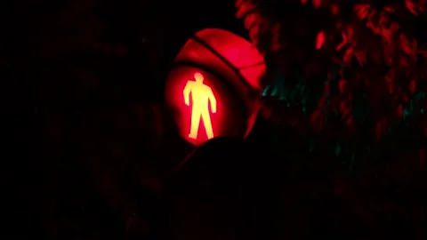 Traffic light branches at night intersection Stock Footage 197925695