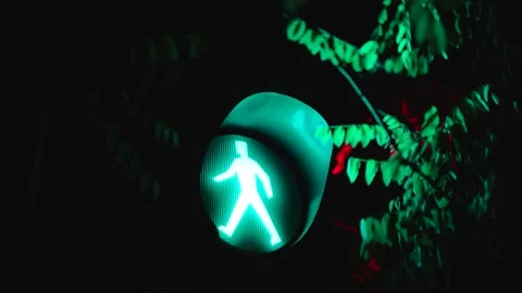 Traffic light branches at night intersection Stock Footage 197925715