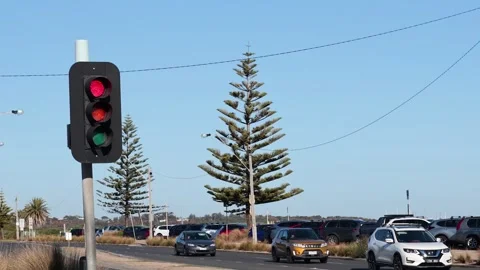 Traffic Light at Brighton Beach Stock Footage 302441425