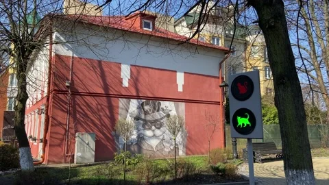 Traffic light for cats Stock Footage 153969430