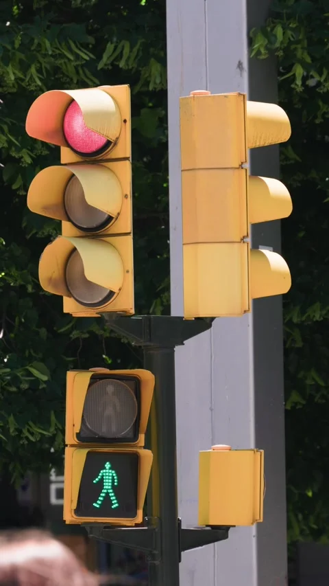 Traffic light changing colors for vehicles and pedestrians on a sunny day Vídeos de archivo 336365871