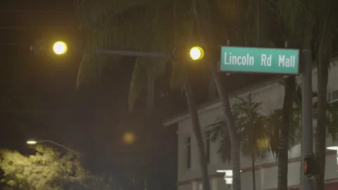 Traffic Light Changing at Lincoln Road Mall at Night Stock Footage 343877679