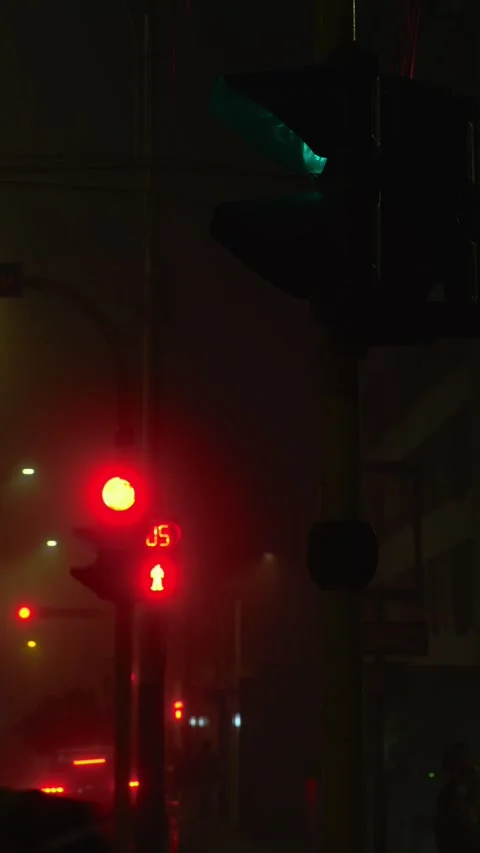 Traffic light changing from red to green in a foggy night Stock Footage 312301693
