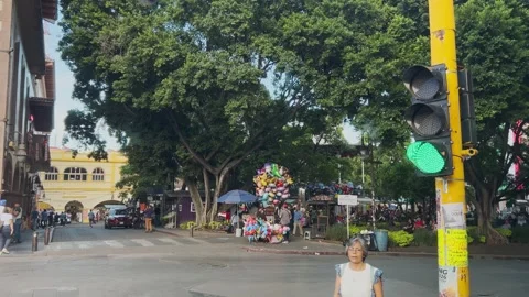 Traffic Light Changing From Red to Green at Busy Mexican City Street Stock Footage 346342446