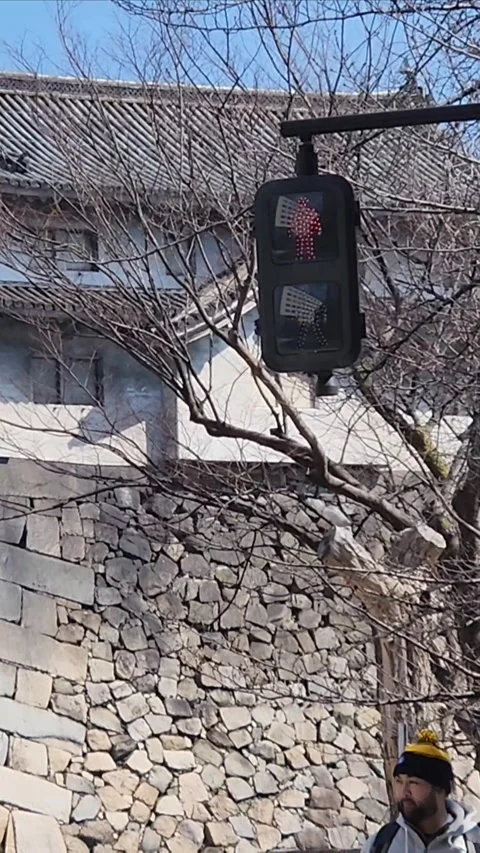 Traffic light changing on a stone wall background Stock-Footage 307272018