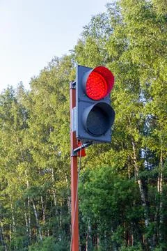 Traffic light consisting of two sections in summer Stockfoto's