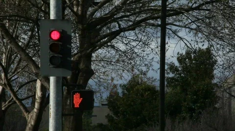 Traffic Light Countdown 스톡 동영상 331219