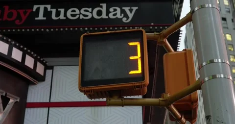 Traffic light countdown in Manhattan. Don't walk sign. Pedestrian traffic lig Stock Footage 219409131
