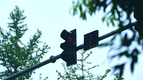 Traffic Light Countdown Timer Showing Red Signal Against Sky Stock Footage 341926465
