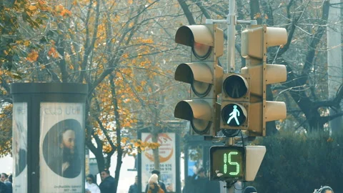 Traffic Light .Crossroad light red, people not allowed to walk, traffic rules Stock Footage 154281908