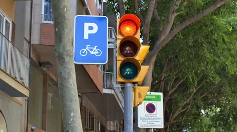 Traffic Light Crosswalk Video stock 51670734