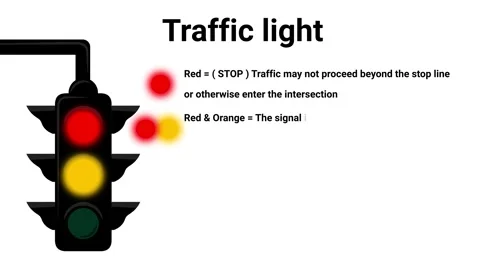 Traffic light description and meaning of traffic light light traffic light .. Stock Footage 244196434