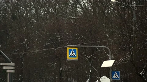 The traffic light flashes at the pedestrian crossing near the park in winter. Stock Footage 146474927