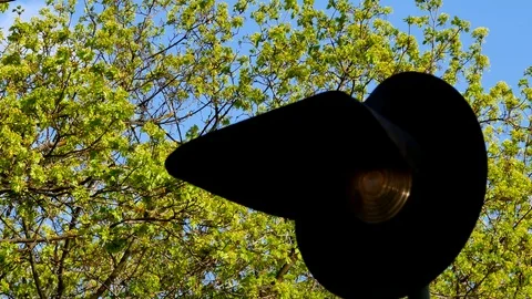 Traffic light flashes yellow light, day. Stock Footage 109384365