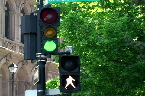 Traffic Light Video stock 136903