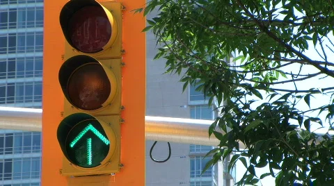 Traffic light Stock Footage 490987