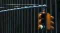 Traffic Light HD Footage