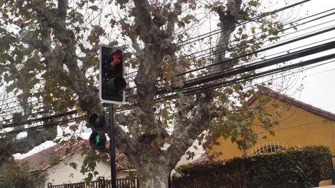 Traffic light Video stock 194490414