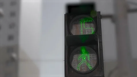 Traffic light with green and red, walk and stop signs. Safety on crossroad Vidéo 89544193
