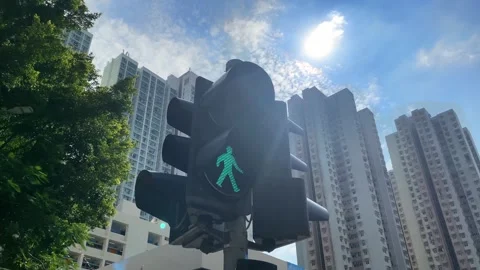 Traffic light green changing to red. Stock Footage 255996213