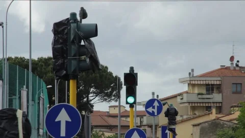 Traffic light group Stock Footage 75313169