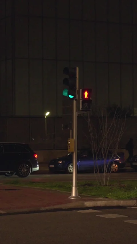A traffic light is lit up green and a pedestrian crossing sign is .. Stock Footage 328992740