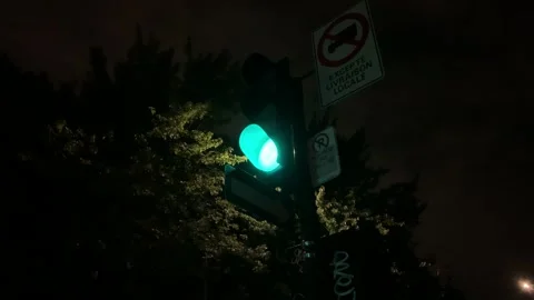 Traffic Light at Night Stock Footage 139409573