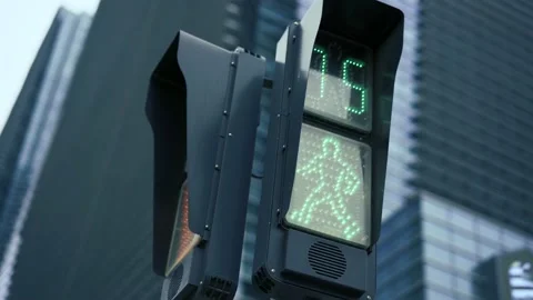 The Traffic Light For Pedestrians Changes From Red To Green . Stock Footage 151155639