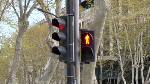 Traffic light for pedestrians changing from red to green Stock-Footage 307065267