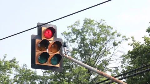 Traffic light red to green trees in background 스톡 동영상 92704713