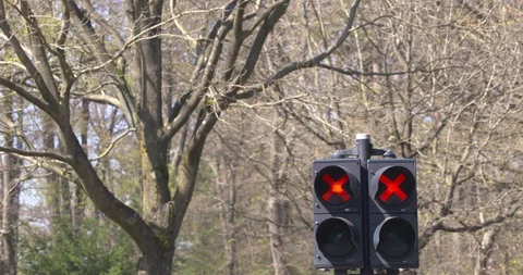 Traffic light red x in forested area Stock Footage 129313691