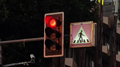 Traffic light, road sign light. Stock Footage 304647262