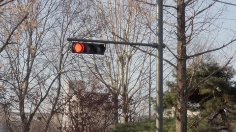 Traffic light saying left turn after red in winter 스톡 동영상 168880097