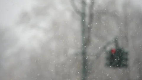 Traffic Light in Snow 動画素材 330973656