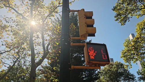 Traffic light with sun rays shining through trees, on a clear sunny day in the Stock Footage 301531364