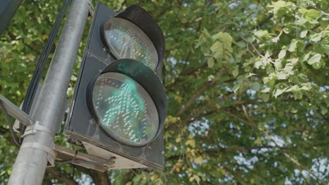 Traffic light switching for a pedestrian Stock Footage 319009902
