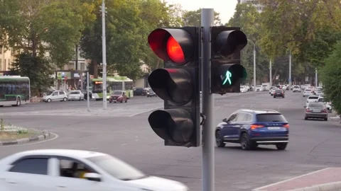 Traffic light in Tashkent Stock Footage 243522001