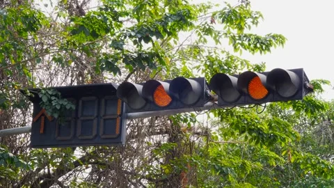 Traffic Light In Thailand Stock Footage 262978955