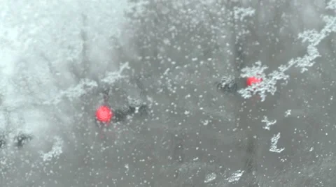 Traffic Light Through Windshield Stock Footage 46752774