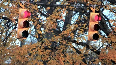 Traffic Lights 23.98 1080 Stock Footage 12567030