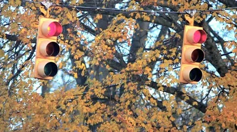 Traffic Lights 59.94 720 動画素材 12566972