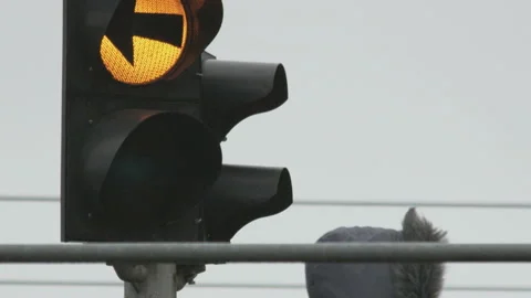 Traffic Lights Changing Stock Footage 88029934