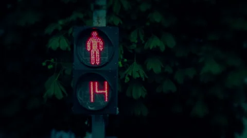 The traffic lights in evening. Red to green Stock Footage 51619623