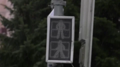 Traffic lights with the green light in the city Video stock 313443913