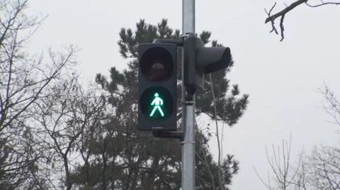 Traffic Lights Green Turns Red For Pedestrians Still-Shot Vídeo Stock 34388974