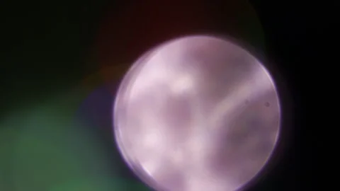 Traffic lights on the left in the dark Vídeo Stock 309884628