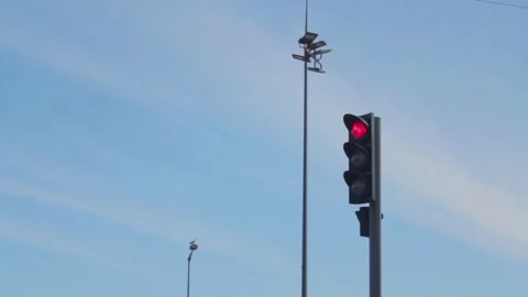 Traffic lights - low angle shot Video stock 288725071
