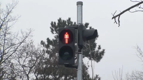 Traffic Lights Red Turns Green For Pedestrians Still-Shot Vídeo Stock 34388723