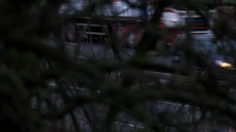 Traffic on motorway looking through branches 4K Stockbeeldmateriaal 101902420