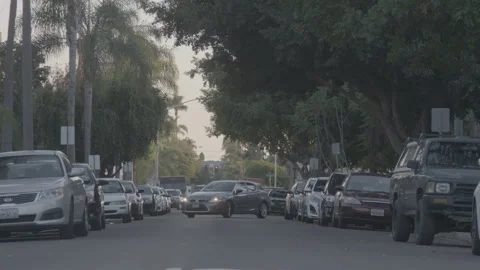 Traffic Moving Along a Tree-Lined Residential Street Stock-Footage 343968090
